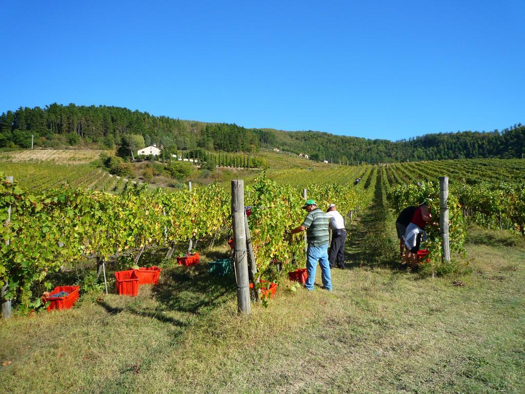 Fattoria Il Lago Dicomano 外观 照片